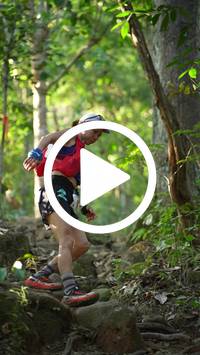 BIB:  <button type="button" onclick="openModal(27641725)" class="btn btn-primary btn-sm float-right" data-toggle="modal" data-target=".modal-high-quality">
                <i class="fa fa-download"></i> Download
                </button>